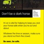 Don't be a Dark Horse - be seen, be safe.