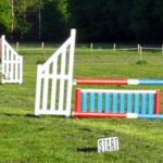 Show Jumping including Scone Style Jumping Qualifier
