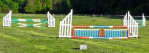 Show Jumping Schedule