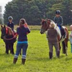 Show Jumping - 20th August 2023