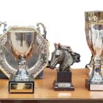 Charity Show Jumping