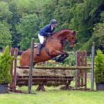 Working Hunter Show
