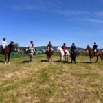Show Jumping - 19th May 2024