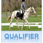 Area 1 Qualifiers 2024