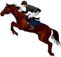 Show Jumping Schedule