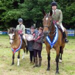 Working Hunter Show