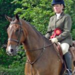 Working Hunter and Showing Clinic...