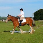 Dressage - 19th June 2025