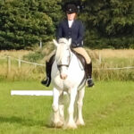 Dressage - 26th August