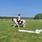 Dressage - 26th May 2026