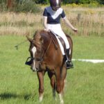 Dressage - 21st July