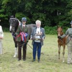 Castle Kennedy Charity Horse Show