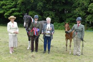 Castle Kennedy Charity Horse Show