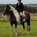 Dressage - 18th August 2026